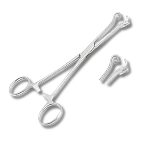 Babcock Forceps